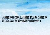 大鯽魚不開口只上小鯽魚怎么辦（鯽魚不開口怎么辦 這6種情況下都有妙招）