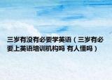 三歲有沒有必要學(xué)英語（三歲有必要上英語培訓(xùn)機(jī)構(gòu)嗎 有人懂嗎）