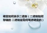 硬盤如何表示二進制（二進制如何存儲的 二進制是如何寫進硬盤的）
