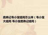 鹿鼎記韋小寶結(jié)局怎么樣（韋小寶大結(jié)局 韋小寶鹿鼎記結(jié)局）