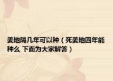 姜地隔幾年可以種（死姜地四年能種么 下面為大家解答）