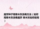 魔芋種子用草木灰消毒方法（如何用草木灰消毒魔芋 草木灰如何使用）