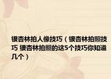 銀杏林拍人像技巧（銀杏林拍照技巧 銀杏林拍照的這5個技巧你知道幾個）