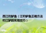 西江釣鱸魚（江釣鱸魚正確方法 釣江鱸的實(shí)用技巧）