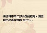 渴望城市第二部小蓮的結(jié)局（渴望城市小蓮大結(jié)局 是什么）