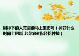 剛種下的大蒜需要馬上施肥嗎（種蒜什么時間上肥料 老菜農(nóng)教你輕松種植）