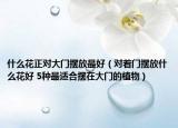 什么花正對大門擺放最好（對著門擺放什么花好 5種最適合擺在大門的植物）