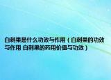 白刺果是什么功效與作用（白刺果的功效與作用 白刺果的藥用價(jià)值與功效）