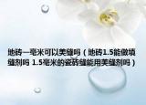 地磚一毫米可以美縫嗎（地磚1.5能做填縫劑嗎 1.5毫米的瓷磚縫能用美縫劑嗎）