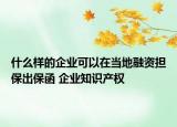 什么樣的企業(yè)可以在當(dāng)?shù)厝谫Y擔(dān)保出保函 企業(yè)知識產(chǎn)權(quán)