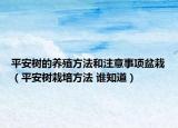 平安樹的養(yǎng)殖方法和注意事項(xiàng)盆栽（平安樹栽培方法 誰知道）