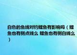 白色的魚(yú)線對(duì)釣鯉魚(yú)有影響嗎（鯉魚(yú)也有側(cè)點(diǎn)線么 鯉魚(yú)也有側(cè)白線么）