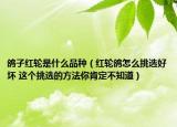 鴿子紅輪是什么品種（紅輪鴿怎么挑選好壞 這個挑選的方法你肯定不知道）