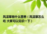 風(fēng)滾草有什么營養(yǎng)（風(fēng)滾草怎么吃 大家可以見識(shí)一下）