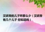 漢武帝的兒子咋那么少（漢武帝有幾個兒子 你知道嗎）