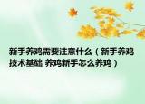 新手養(yǎng)雞需要注意什么（新手養(yǎng)雞技術(shù)基礎(chǔ) 養(yǎng)雞新手怎么養(yǎng)雞）
