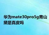 華為mate30pro5g青山黛是真皮嗎