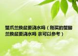 蟹爪蘭換盆要澆水嗎（剛買的蟹腳蘭換盆要澆水嗎 親可以參考）