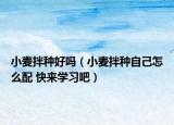 小麥拌種好嗎（小麥拌種自己怎么配 快來學習吧）