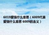 6019愛情什么意思（6009代表愛情什么意思 6009的含義）