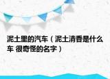 泥土里的汽車（泥土清香是什么車 很奇怪的名字）
