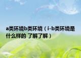 a類環(huán)境b類環(huán)境（i-b類環(huán)境是什么樣的 了解了解）