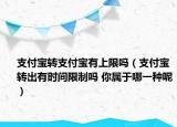 支付寶轉(zhuǎn)支付寶有上限嗎（支付寶轉(zhuǎn)出有時(shí)間限制嗎 你屬于哪一種呢）