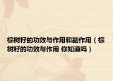 棕樹籽的功效與作用和副作用（棕樹籽的功效與作用 你知道嗎）
