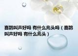 喜鵲叫聲好嗎 有什么兆頭嗎（喜鵲叫聲好嗎 有什么兆頭）