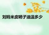 劉媽米皮哨子油溫多少