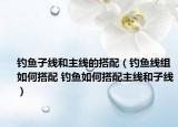釣魚子線和主線的搭配（釣魚線組如何搭配 釣魚如何搭配主線和子線）