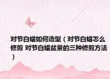 對(duì)節(jié)白蠟如何造型（對(duì)節(jié)白蠟怎么修剪 對(duì)節(jié)白蠟盆景的三種修剪方法）