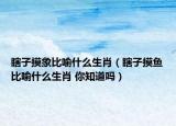 瞎子摸象比喻什么生肖（瞎子摸魚比喻什么生肖 你知道嗎）