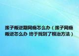 孩子叛逆期網(wǎng)癮怎么辦（孩子網(wǎng)癮叛逆怎么辦 終于找到了根治方法）