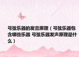 弓弦樂(lè)器的發(fā)音原理（弓弦樂(lè)器包含哪些樂(lè)器 弓弦樂(lè)器發(fā)聲原理是什么）