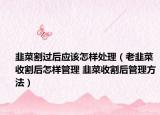 韭菜割過(guò)后應(yīng)該怎樣處理（老韭菜收割后怎樣管理 韭菜收割后管理方法）