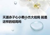 天涯赤子心小君小杰大結局 就是這樣的結局嗎