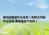 放鳥(niǎo)歸林是什么生肖（失林之鳥(niǎo)指什么生肖 原來(lái)是這個(gè)生肖）
