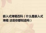 嵌入式烤箱百科（什么是嵌入式烤箱 這些你都知道嗎）