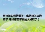用烤箱如何烤茄子（電烤箱怎么烤茄子 這樣烤茄子真的太好吃了）