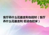 客廳養(yǎng)什么花最吉利也招財(cái)（客廳養(yǎng)什么花最吉利 旺運(yùn)也旺家）
