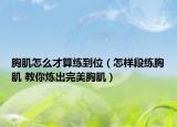 胸肌怎么才算練到位（怎樣段練胸肌 教你煉出完美胸肌）