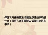 仰臥飛鳥正確做法 需要注意這些事項是什么（仰臥飛鳥正確做法 需要注意這些事項）