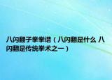 八閃翻子拳拳譜（八閃翻是什么 八閃翻是傳統(tǒng)拳術之一）