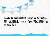 mate30有青山黛嗎（mate30pro青山黛什么時候上 mate30pro青山黛版什么時候發(fā)布）