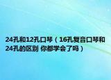 24孔和12孔口琴（16孔復(fù)音口琴和24孔的區(qū)別 你都學會了嗎）