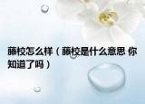 藤校怎么樣（藤校是什么意思 你知道了嗎）