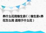 養(yǎng)什么花用維生素C（維生素c養(yǎng)花怎么用 適用于什么花）