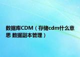 數(shù)據(jù)庫CDM（存儲cdm什么意思 數(shù)據(jù)副本管理）