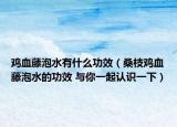 雞血藤泡水有什么功效（桑枝雞血藤泡水的功效 與你一起認(rèn)識(shí)一下）